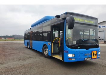  MAN Lions City A21 CNG Euro 6 - bus urbain