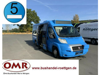 Minibus, Transport de personnes Fiat Ducato Maxi 40/Sprinter City/Midi/EEV: photos 1