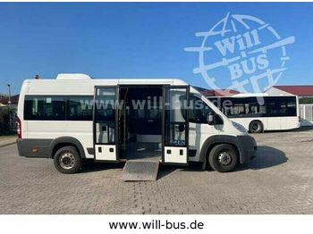 Minibus, Transport de personnes Fiat Ducato Niederflur  CITY EEV  KLIMA  GETRIEBE NEU: photos 1
