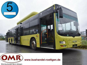 Bus urbain MAN A 26 Lion´s City L / NL 313 CNG: photos 1