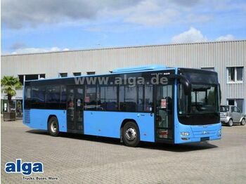 Bus urbain MAN Lions City, A78, Euro 6, A/C, 43 Sitze: photos 1