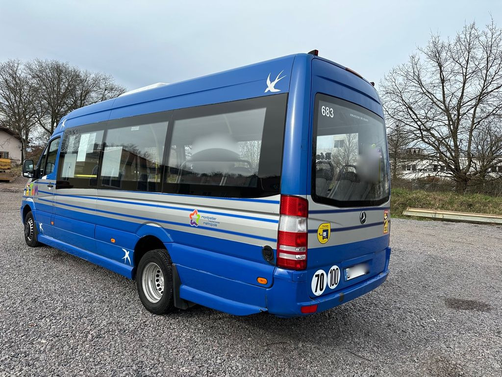Minibus, Transport de personnes Mercedes-Benz 516 CDI/Atlas City/KLima/17 Sitze/: photos 3
