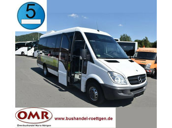 Minibus, Transport de personnes Mercedes-Benz 516 CDI Sprinter/Crafter/Master/Klima/Euro 5: photos 1