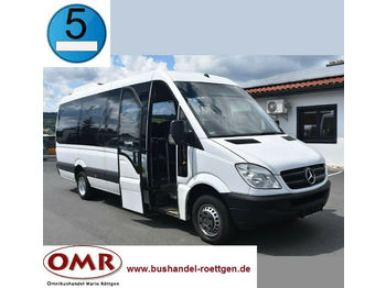 Minibus, Transport de personnes Mercedes-Benz 516 CDI Sprinter/Crafter/Master/Klima/Euro 5: photos 1