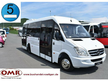 Minibus, Transport de personnes Mercedes-Benz 516 CDI Sprinter/komplett saniert/Crafter: photos 1