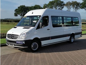 Minibus, Transport de personnes Mercedes-Benz Sprinter 513 CDI maxi opstapper: photos 1