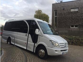 Minibus, Transport de personnes Mercedes Benz Sprinter 519CDI: photos 1