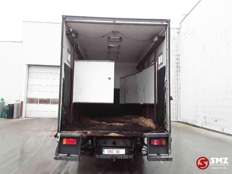 Camion bétaillère Iveco Magirus 80 16 horse truck: photos 11