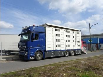 Camion bétaillère MERCEDES-BENZ Actros 2551: photos 1