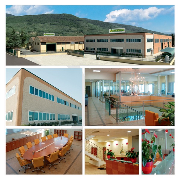 Ciancaleoni Srl - Annonce de vente undefined: photos 1