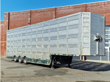 Semi-remorque bétaillère Pezzaioli 5 deck livestock trailer - Water & Ventilation - Loadlift - Folding floors - BPW Axle - 155M3: photos 2 Semi-remorque bétaillère Pezzaioli 5 deck livestock trailer - Water & Ventilation - Loadlift - Folding floors - BPW Axle - 155M3: photos 2