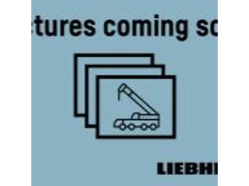 Grue mobile LIEBHERR LTM 1050-3.1