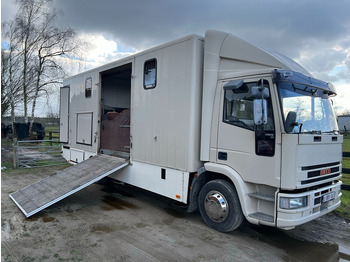 Camion chevaux IVECO