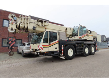 Grue tout-terrain DEMAG