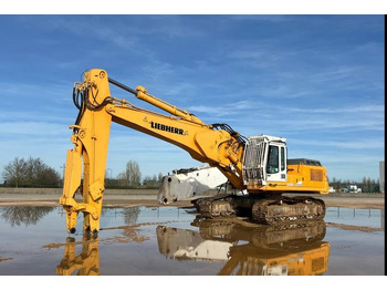 Pelle sur chenille Liebherr R 954 B HD Litronic Demolition Excavator: photos 2