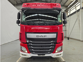 Tracteur routier DAF XF 460 SPACECAB / RETARDER /MANUEL: photos 3