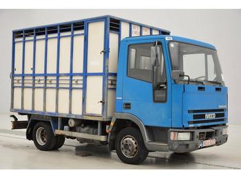 Camion bétaillère Iveco 65E14*: photos 3