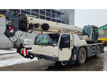 Grue tout-terrain TEREX