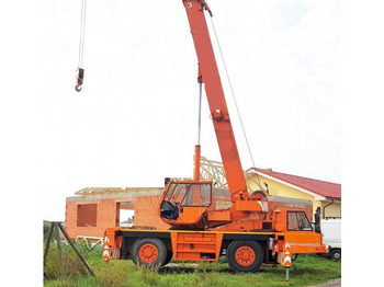 Grue auxiliaire TEREX