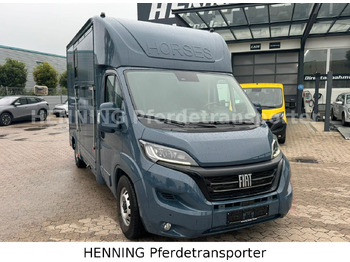 Fiat Ducato *AUTOMATIK* 3 - Sitzer — crédit-bail Fiat Ducato *AUTOMATIK* 3 - Sitzer: photos 2 Fiat Ducato *AUTOMATIK* 3 - Sitzer — crédit-bail Fiat Ducato *AUTOMATIK* 3 - Sitzer: photos 2