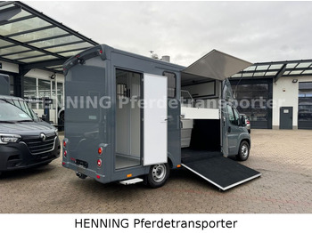 Camion chevaux Fiat Ducato *NEUWAGEN* ca.1100 kg Nutzlast: photos 3