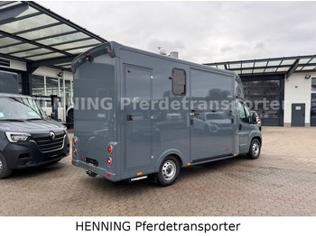 Camion chevaux Fiat Ducato *NEUWAGEN* ca.1100 kg Nutzlast: photos 2