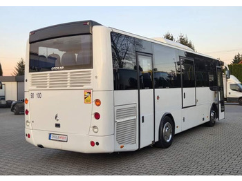 Minibus, Transport de personnes Otokar VECTIO / SPROWADZONY Z POŁUDNIA FRANCJI/ MANUAL: photos 2 Minibus, Transport de personnes Otokar VECTIO / SPROWADZONY Z POŁUDNIA FRANCJI/ MANUAL: photos 2