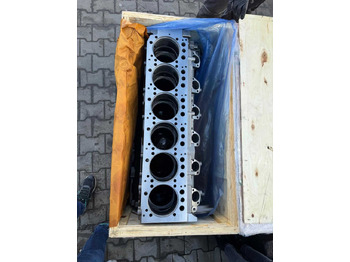 Moteur JAGUAR