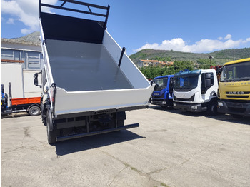 Camion grue, Camion benne IVECO STRALIS CUBE 190S33: photos 5