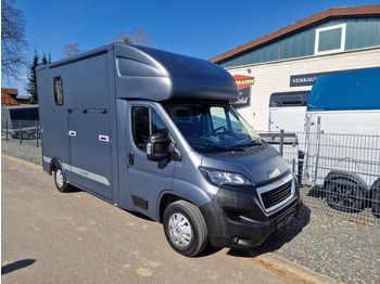 Camion chevaux MSG Stablehopper Pferdetransporter Pferdeanhänger Böckmann: photos 3