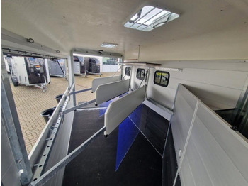 Van chevaux Pferdeanhänger Böckmann Traveller G3 Top Ausstattung: photos 5