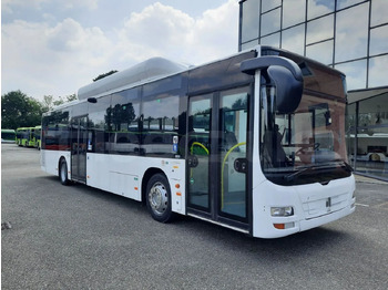 Bus urbain MAN Lion's City A21