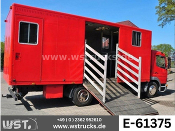 Camion chevaux MERCEDES-BENZ