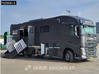 Volvo FH 420 FH 4X2 NL-Truck STX Horse truck + Living 4 Horses Navi ACC Euro 6 — crédit-bail Volvo FH 420 FH 4X2 NL-Truck STX Horse truck + Living 4 Horses Navi ACC Euro 6: photos 3
