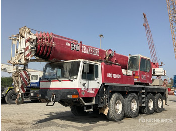 Grue tout-terrain LIEBHERR