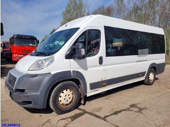 Minibus FIAT Ducato