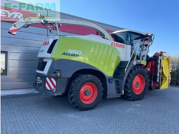 Ensileuse CLAAS jaguar 950: photos 5