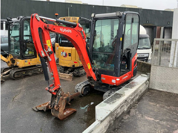 Mini pelle KUBOTA KX019-4