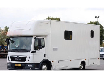 Camion chevaux MAN TGL