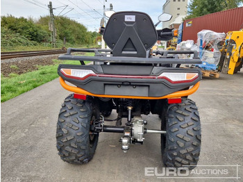 Quadricycle Unused TAO Motors TGA300F: photos 4