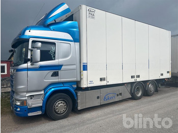 Camion SCANIA R 580