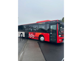 Bus urbain MAN Lion's City A20