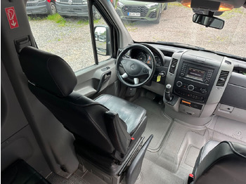 Minibus, Transport de personnes Mercedes-Benz Sprinter 519 CDi (Euro 6*Leder Sitze): photos 4