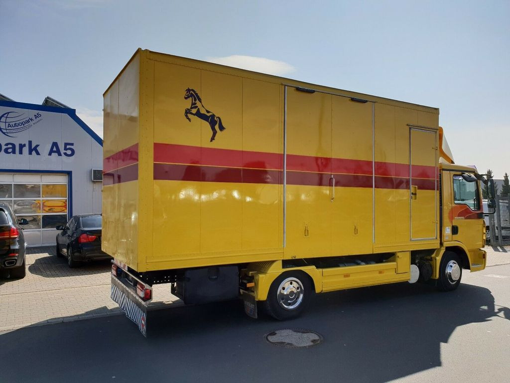 MAN TGL 10.180 Euro 4 Pferdetransporter Horse - Camion chevaux: photos 4 MAN TGL 10.180 Euro 4 Pferdetransporter Horse - Camion chevaux: photos 4