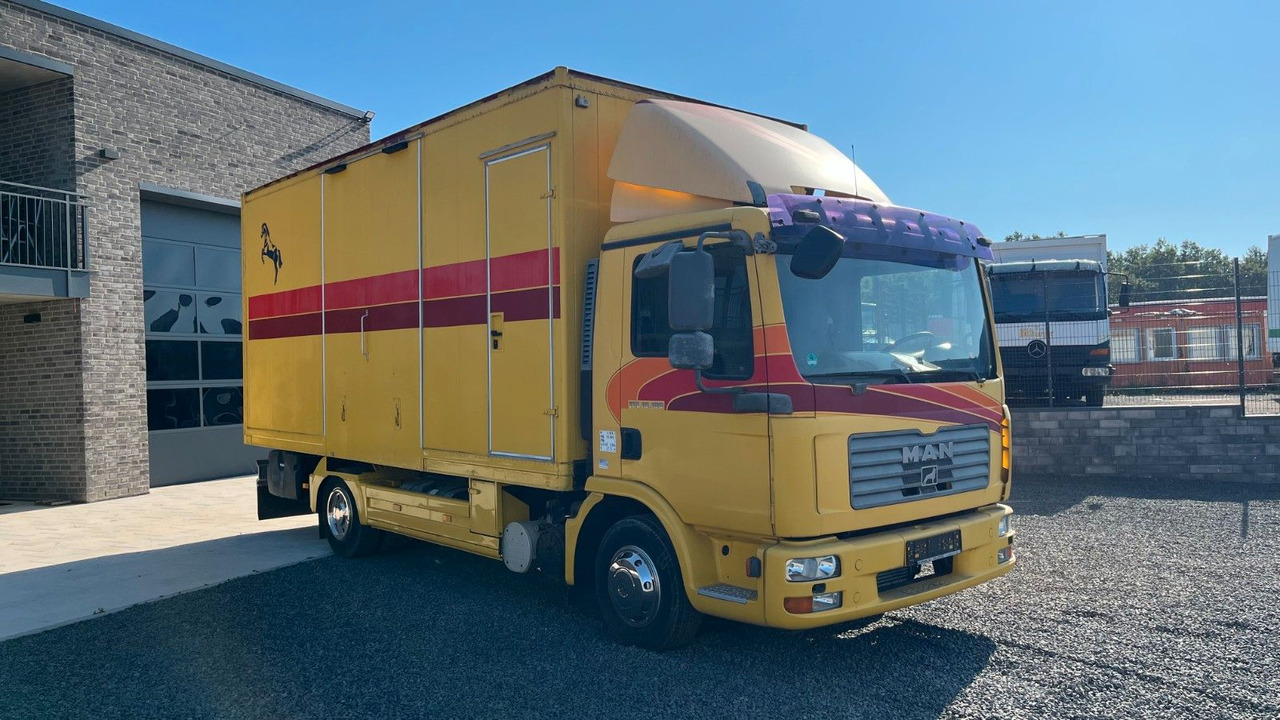 MAN TGL 10.180 Euro 4 Pferdetransporter Horse MAN TGL 10.180 Euro 4 Pferdetransporter Horse - Camion chevaux: photos 2 MAN TGL 10.180 Euro 4 Pferdetransporter Horse MAN TGL 10.180 Euro 4 Pferdetransporter Horse - Camion chevaux: photos 2