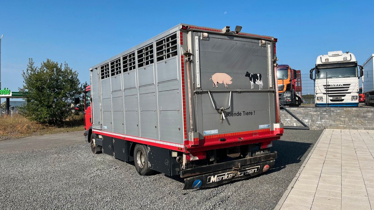 MAN TGL 10.220 Viehtransporter Rampe Trennwände - Camion chevaux: photos 5 MAN TGL 10.220 Viehtransporter Rampe Trennwände - Camion chevaux: photos 5