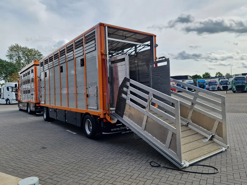 DAF XF 530 4x2 - Livestock Menke + 2018 Menke trailer 2 deck - Water + Ventilation - Lifting roof - Camion bétaillère: photos 4 DAF XF 530 4x2 - Livestock Menke + 2018 Menke trailer 2 deck - Water + Ventilation - Lifting roof - Camion bétaillère: photos 4