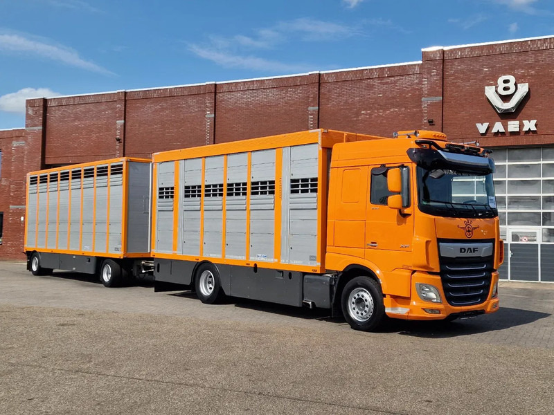 DAF XF 530 4x2 - Livestock Menke + 2018 Menke trailer 2 deck - Water + Ventilation - Lifting roof - Camion bétaillère: photos 2 DAF XF 530 4x2 - Livestock Menke + 2018 Menke trailer 2 deck - Water + Ventilation - Lifting roof - Camion bétaillère: photos 2