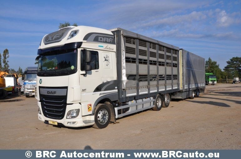 DAF DAF Krone XF 460 FAR XF 460 FAR - Camion chevaux: photos 1 DAF DAF Krone XF 460 FAR XF 460 FAR - Camion chevaux: photos 1