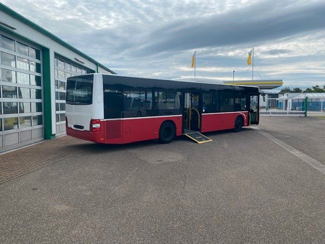 MAN A 21 Lions City KLIMA EURO 6 ZF EcoLife 2x - Bus urbain: photos 4 MAN A 21 Lions City KLIMA EURO 6 ZF EcoLife 2x - Bus urbain: photos 4